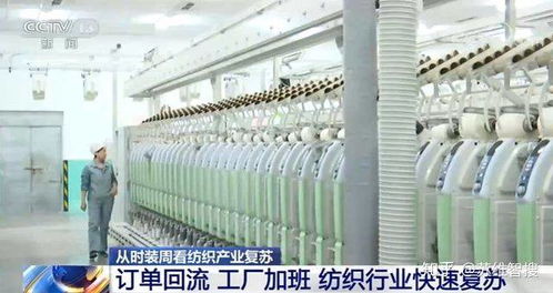 苏维智搜外贸获客软件的个人展示页