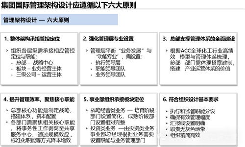 集团中长期管理战略咨询项目 管控体系详细设计与企业管理优化